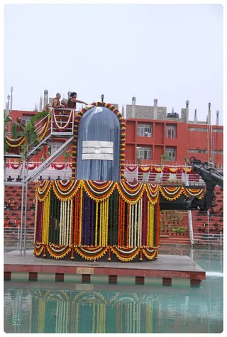 http://nithyananda.org/sites/default/files/photo-gallery/Nithyananda_Swami_Gurupurnima_2013%20%2815%29.JPG