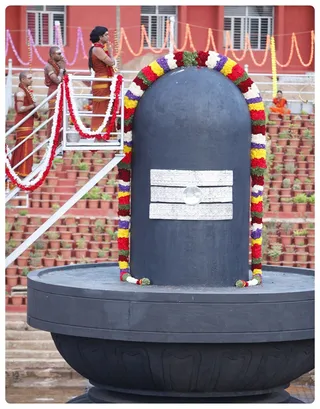 http://nithyananda.org/sites/default/files/photo-gallery/_MG_7482-24-6-13-18.JPG