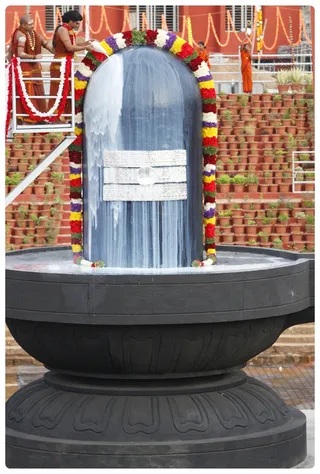 http://nithyananda.org/sites/default/files/photo-gallery/_MG_7515-24-6-13-12.JPG