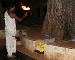 http://nithyananda.org/sites/default/files/photo-gallery/banyan-tree_0.jpg