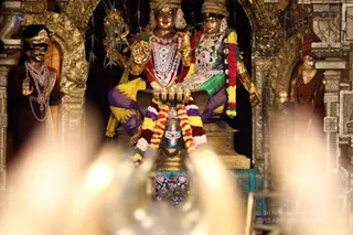 http://nithyananda.org/sites/default/files/photo-gallery/batch_2018-12Dec-25-nithyananda-diary_bengaluru-aadheenam_uttamotama-seva_7T9A9521.JPG