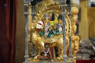 http://nithyananda.org/sites/default/files/photo-gallery/batch_2018-12Dec-25-nithyananda-diary_bengaluru-aadheenam_uttamotama-seva_7T9A9522.JPG