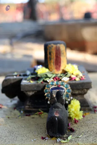 http://nithyananda.org/sites/default/files/photo-gallery/batch_2018-12Dec-26-nithyananda-diary_bengaluru-aadheenam_uttamotama-seva_7T9A9930.JPG