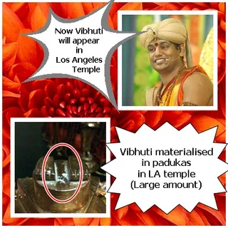 http://nithyananda.org/sites/default/files/photo-gallery/cats_1.jpg