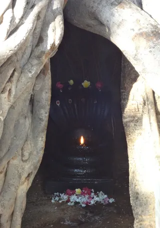 Cave under Banyan tree