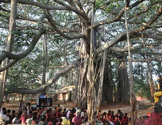 http://nithyananda.org/sites/default/files/photo-gallery/puja%20under%20Banyan%20tree_0.jpg
