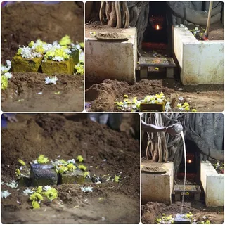 http://nithyananda.org/sites/default/files/photo-gallery/temple-8.jpg