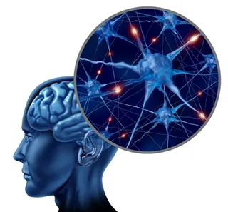 Article - Change Your Mind – Change Your Brain