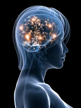 Article - Meditation increases brain power