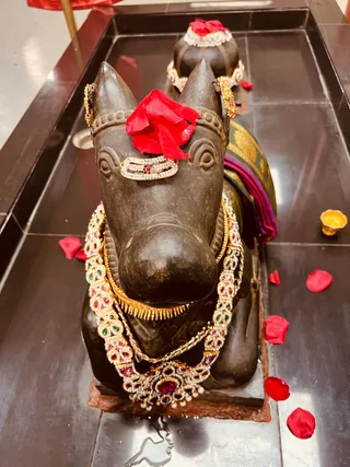 KAILASA HOUSTON, USA On 30/8/2024