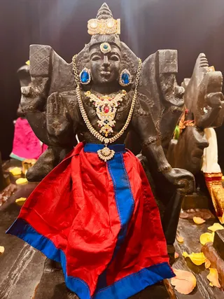 KAILASA Houston USA On December 19, 2025