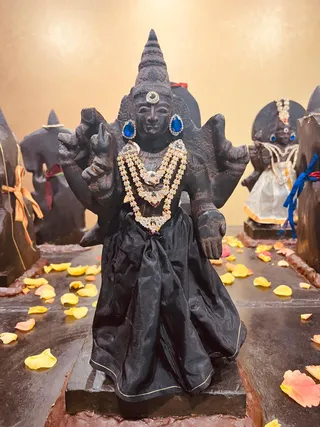 KAILASA Houston USA On December 19, 2025