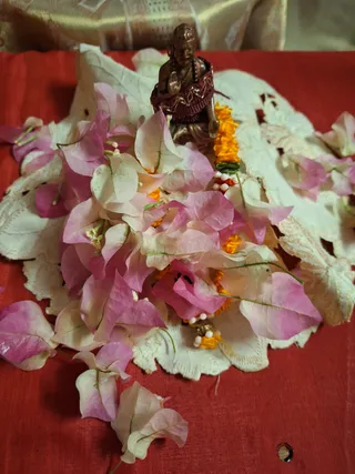 KAILASA GOYAVE GUADELOUPE On February 6, 2026