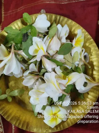 KAILASA SALEM On February 6, 2026