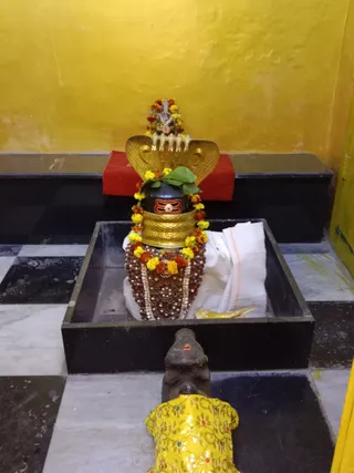 KAILASA KASHI INDIA On 6/2/2025