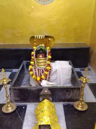 KAILASA KASHI INDIA On 6/2/2025