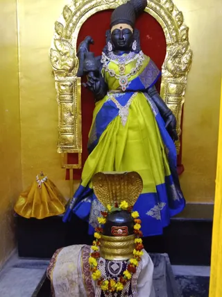 KAILASA KASHI INDIA On 6/2/2025