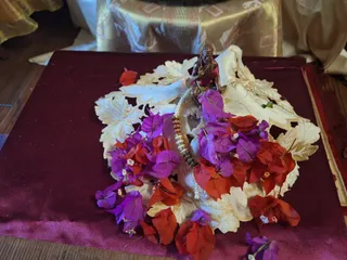 KAILASA GOYAVE GUADELOUPE On February 13, 2026