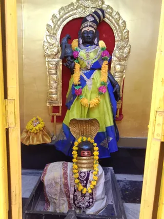 KAILASA KASHI On 14/2/2025