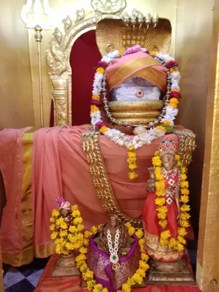 KAILASA KASHI On 14/2/2025