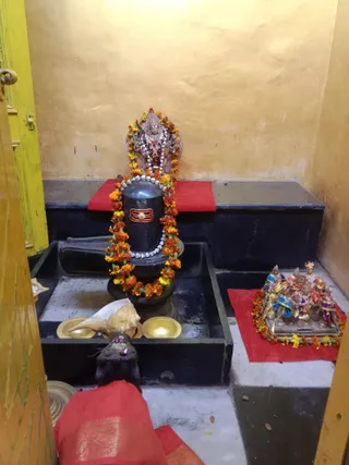 KAILASA KASHI On 21/2/2025
