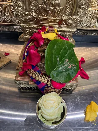 KAILASA HOUSTON USA On 28/2/2025