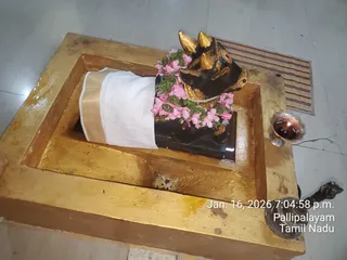 A photograph of a Nandi bull statue in a temple, shown with its head and horns in dark stone with gold-painted horns and a pearl necklace, decorated with pink flowers and green leaves in a garland. A white cloth with a gold border drapes its body. The statue sits in a gold-painted rectangular frame on a grey tiled floor. A bronze oil lamp with a lit wick stands to the right, and a dark bronze stand with a lion-head finial is at the lower right. A woven mat lies behind. A timestamp reads Jan. 16, 2026 7:04:58 p.m. Pallipalayam, Tamil Nadu. No people are visible.