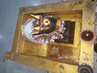 A photograph, taken at an angle, of a gold-framed wooden platform holding a black stone deity murti of a bull or Nandi head with gold-tipped horns, a gold-painted forehead and a red bindu. The murti wears a garland of pink flowers and green leaves and a white cloth beneath it. A small copper lamp with a lit oil flame sits to the right on the gold platform, and kumkum and rice-like offerings lie on the base. A timestamp in the corner reads Jan. 16, 2026 7:05:03 p.m. and Pallipalayam, Tamil Nadu. No people are visible.