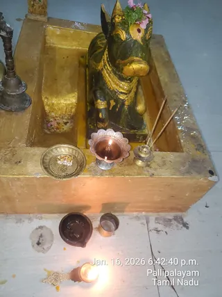 Photograph of a small temple shrine interior. The dark bull figure has gold trim, a garland of pink flowers and green leaves on its head, and a gold-painted ornamented collar. In front are a brass plate holding sweets, a copper oil lamp with a lit wick, a brass incense holder with two incense sticks, a clay oil lamp, a small copper cup, and another lit brass oil lamp on the floor. Timestamp overlay reads Jan. 16, 2026 6:42:40 p.m. Pallipalayam, Tamil Nadu. No people are visible.