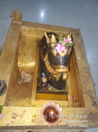 KAILASA Thiruchengode On January 16, 2026