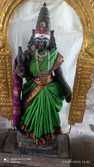 A dark stone deity murti stands in an ornate gilded arch framed by a white cloth backdrop, dressed in a bright green sari with a gold-bordered purple shawl draped over one arm. It wears a tall conical crown, layered pearl and stone necklaces, round earrings, and a red and white forehead mark with a red bindi. It holds a ceremonial staff-like object in one hand, and the scene is a temple shrine with no people visible.