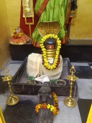 KAILASA KASHI INDIA On 24/1/2025