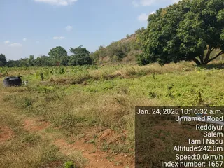 KAILASA Salem On 24/1/2025
