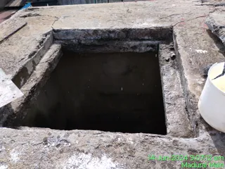 KAILASA SHYAMALAPEETA SARVAJNAPEETAM On 13/6/2024