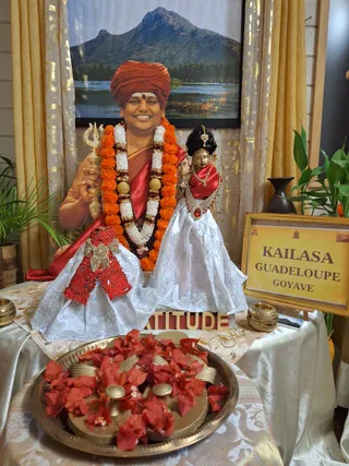 KAILASA GOYAVE GUADELOUPE On March 6, 2026