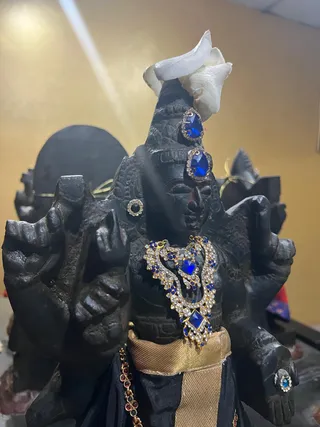 KAILASA HOUSTON USA On March 6, 2026