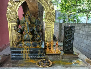 KAILASA Adikailasa AK On 21/11/2024