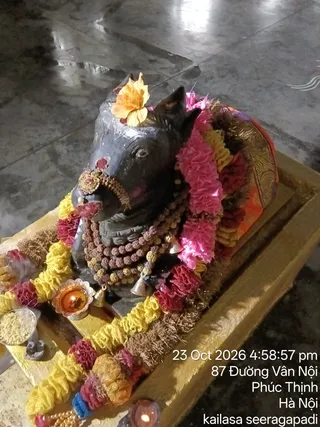 A photograph of a black stone Nandi bull murti on a golden pedestal inside a temple hall. The Nandi is garlanded with pink, red and yellow flower garlands, has a yellow-orange flower tucked on its head, and wears a rudraksha mala with brass bells. A lit brass oil lamp with a flame sits in front, alongside a small steel bowl of grains and a smaller lamp at the lower edge. The timestamp overlay shows 23 Oct 2026 4:58:57 pm and the location Phuc Thinh, Ha Noi. No people are visible.