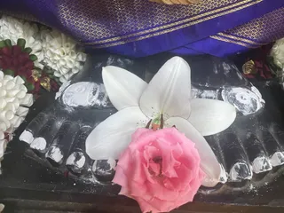 KAILASA Seattle, USA On 5/8/2024