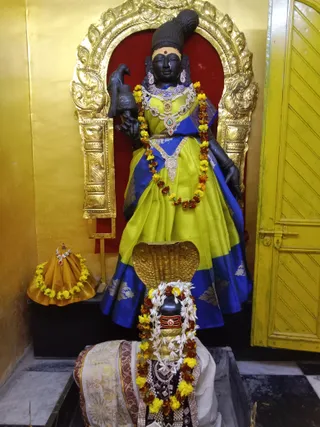 KAILASA KASHI INDIA On 2/2/2025