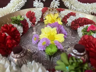 KAILASA SEATTLE USA On 17/2/2025