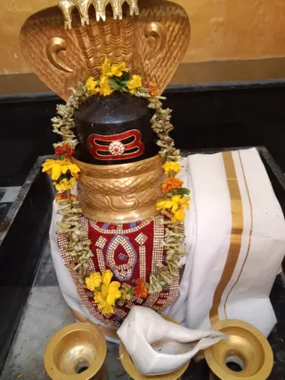 KAILASA KASHI On 16/2/2025
