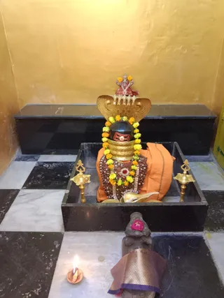 KAILASA KASHI On 16/2/2025
