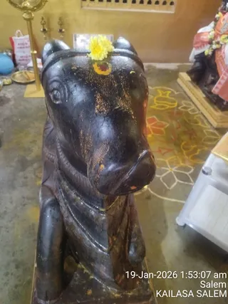 KAILASA Salem On January 19, 2026