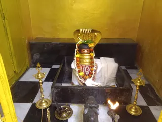 KAILASA KASHI INDIA On 20/1/2025