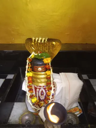 KAILASA KASHI INDIA On 20/1/2025