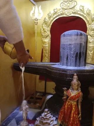 KAILASA KASHI INDIA On 20/1/2025