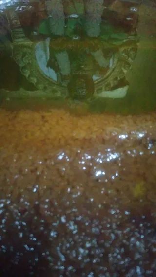 KAILASA THIRUCHENGODE On 27/7/2025