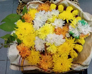 KAILASA SELAYANG MALAYSIA On 28/7/2025