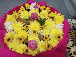 KAILASA SELAYANG MALAYSIA On 2/11/2025